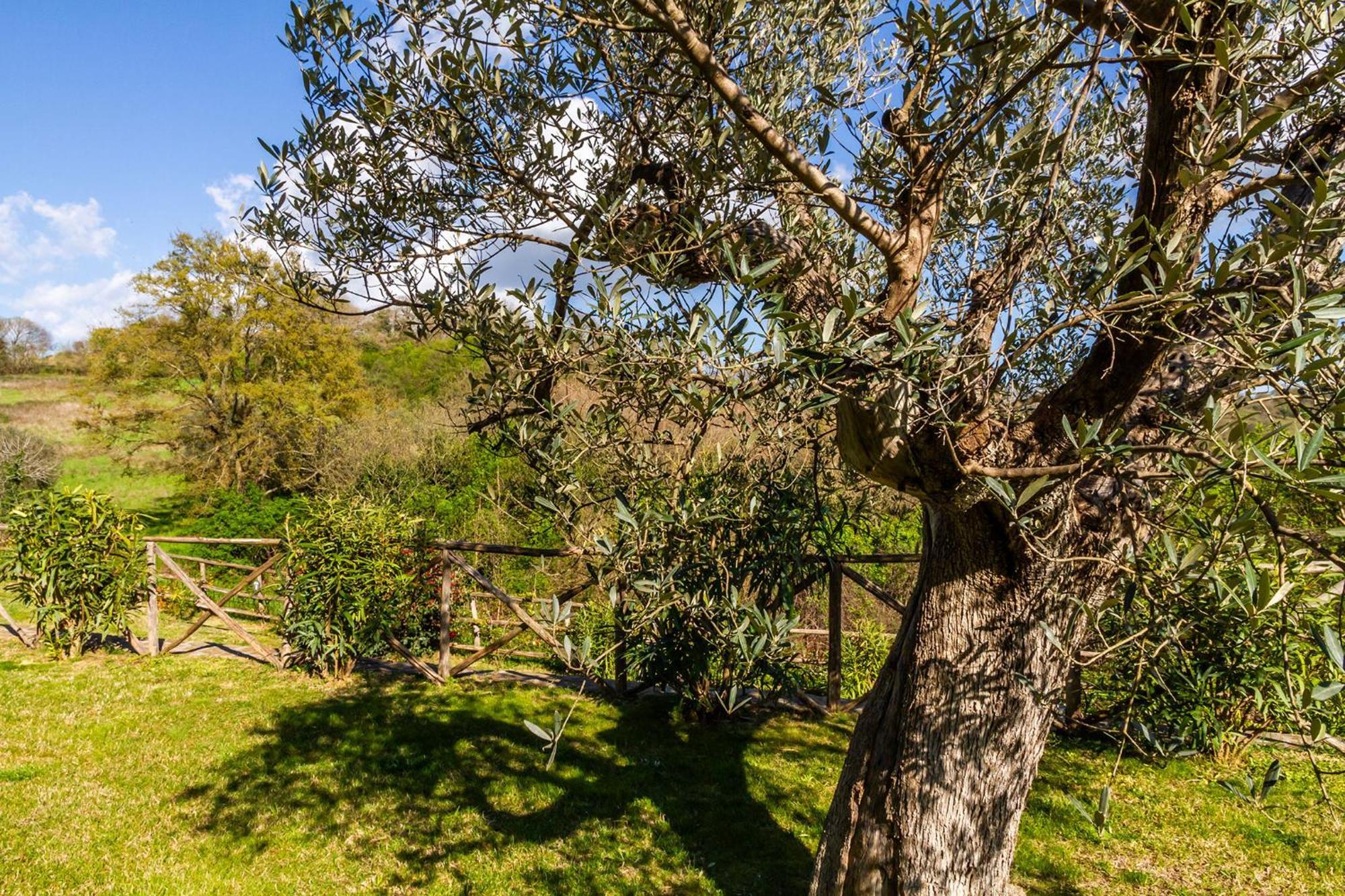 Home With A View In Scansano, Tuscany Екстериор снимка